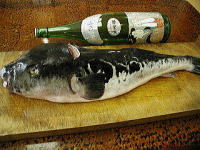 �����C���[�W